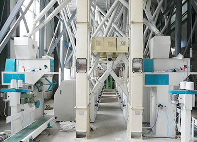 160TPD wheat flour mill plant in Argentina
