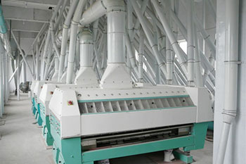 siftering system of 250tpd wheat flour mill 