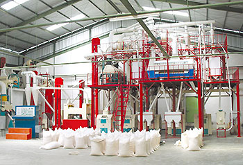 50tpd maize flour mill