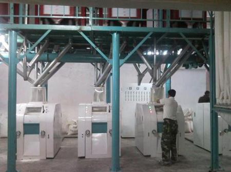 50T maize flour mill project in Kenya